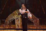 Redi Montico präsentiert 7 Tiger (©Foto: Ingrid Grossmann)